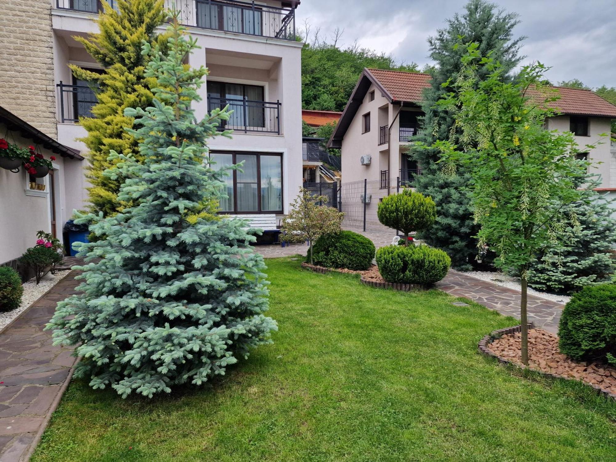 Casa Andrei Hotell Orşova Exteriör bild